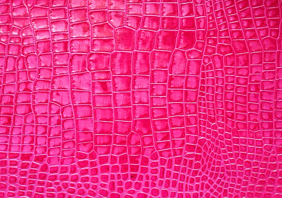 POISON Corset < Chelsea >
